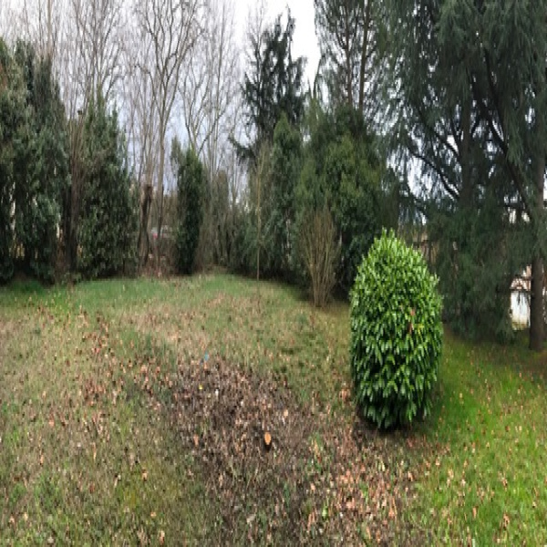 Offres de vente Villa Baziège 31450