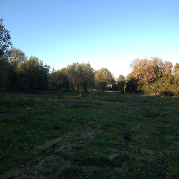 Offres de vente Terrain Villevieille 30250