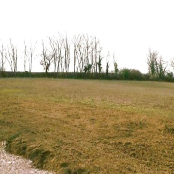 Offres de vente Villa Donneville 31450